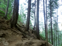 The steep trail