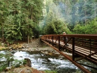 Nan crossing the bridge