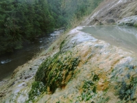 Pool and River