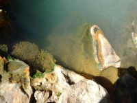 Close up of water