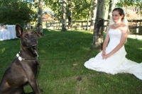 The Bride Ari with Lyra