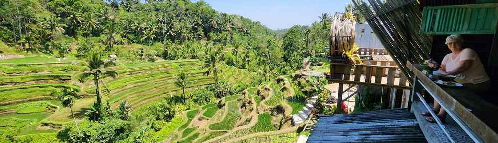 Bali Rice Terrace